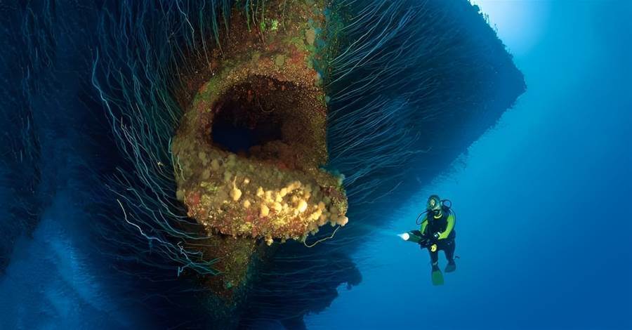 海底一萬米到底有多恐怖？在8200米的「深海」，魚已經不是魚了